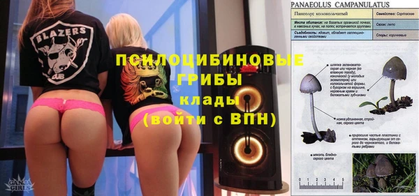 спайс Абдулино