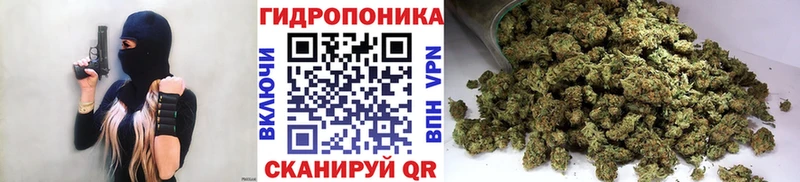 купить  сайты  Рубцовск  Канабис семена 